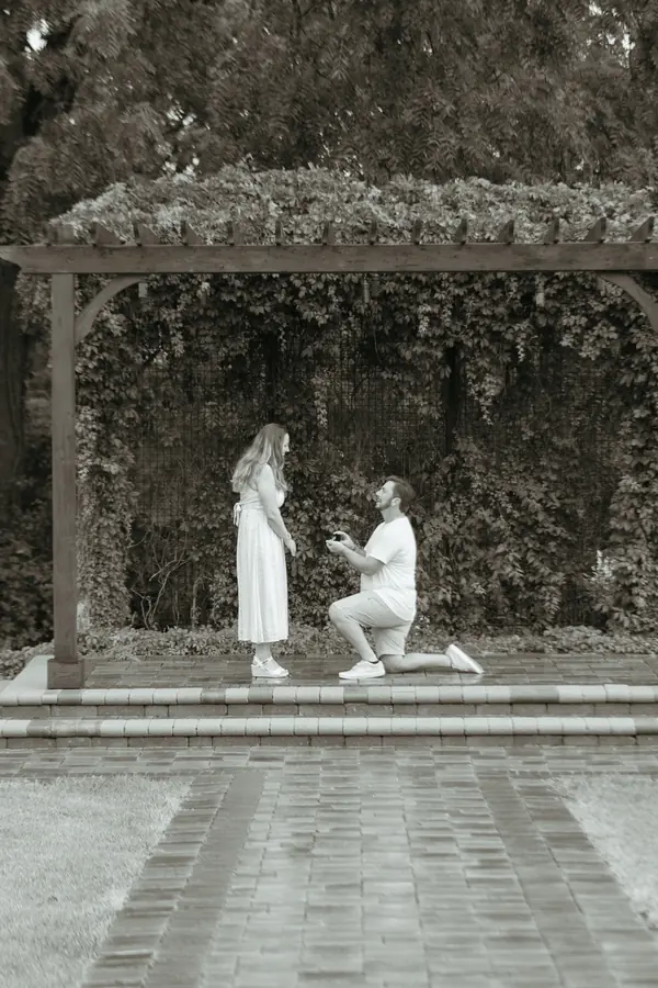 Black and white proposal under a vine covered pergola
