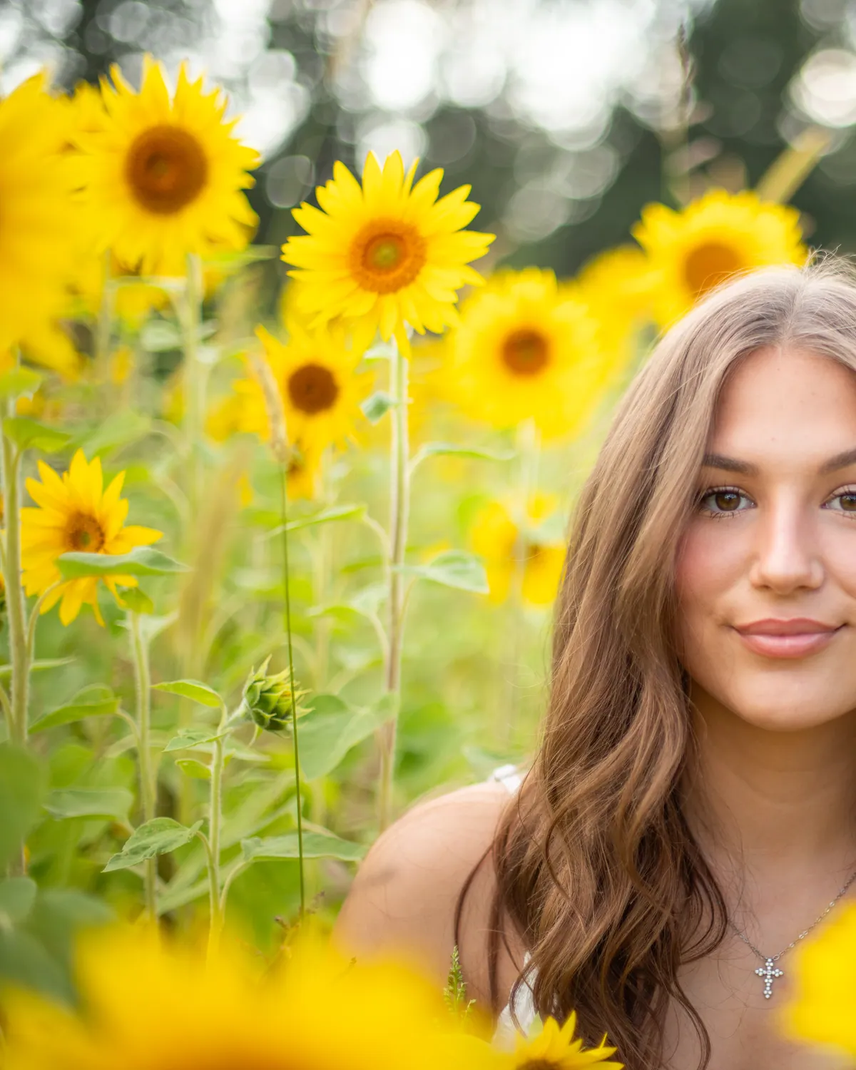 The senior standing in a sunflower field at golden hour, blooms level with her shoulders