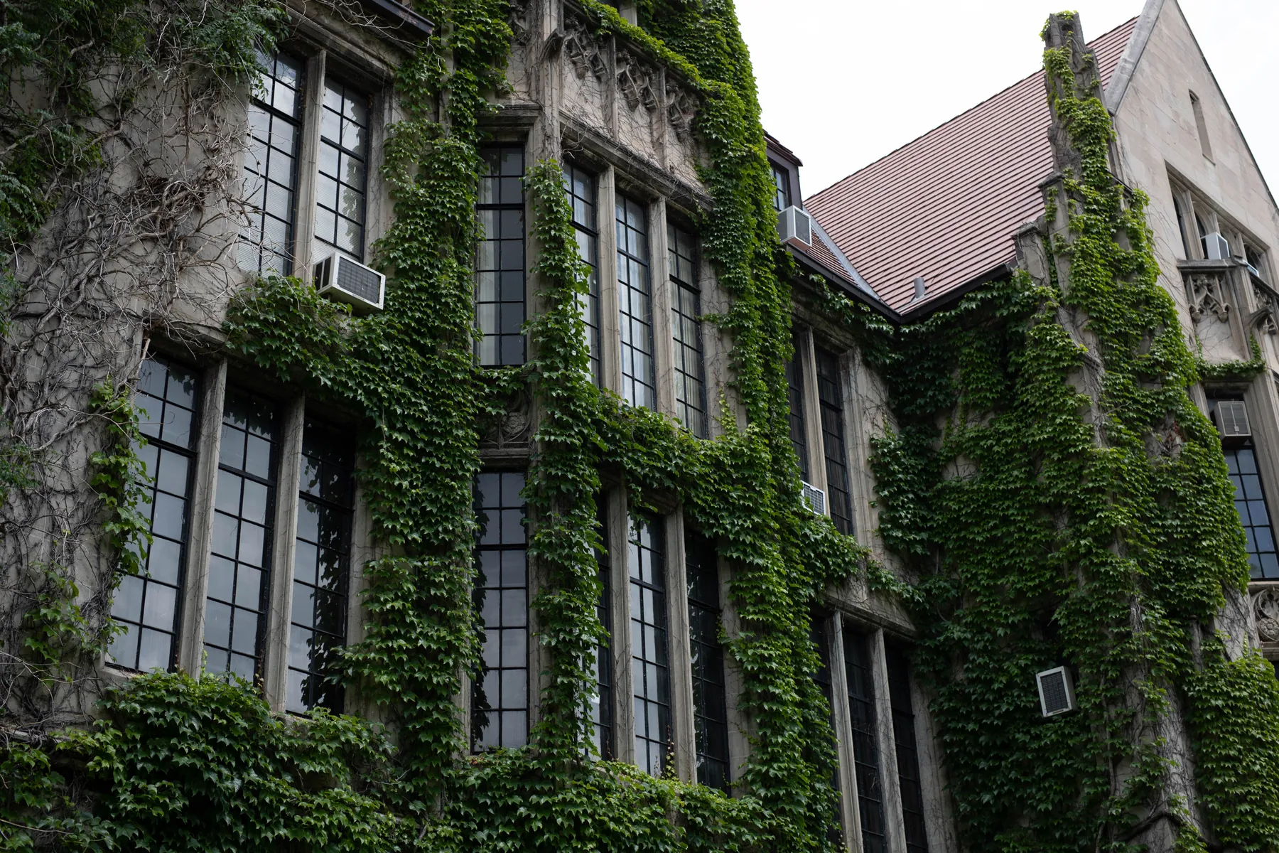 A stone and ivy building photographed square on in flat daylight